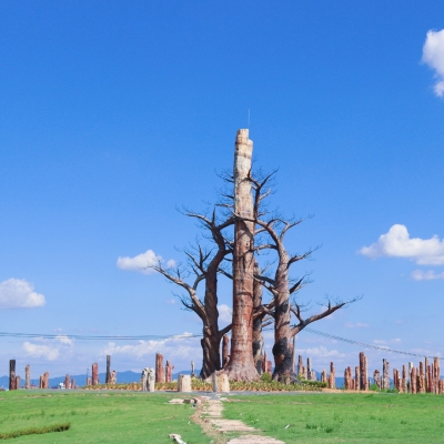 森山铁皮石斛地理公园